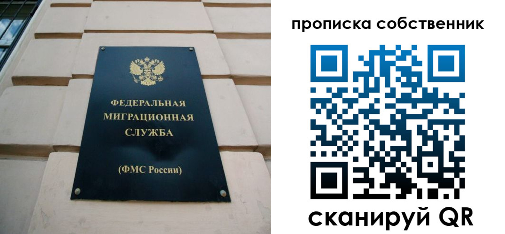 прописка законно в Высоковске